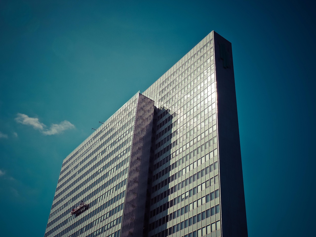 Business Growth